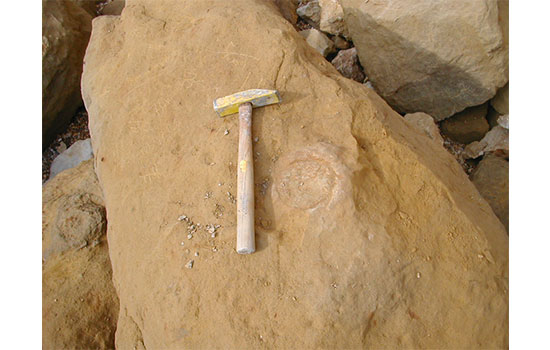 Tools photo